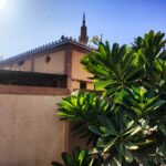 WhatsApp Image 2025-12-19 at 04.31.51