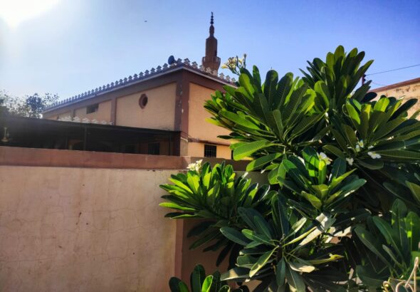 WhatsApp Image 2025-12-19 at 04.31.51