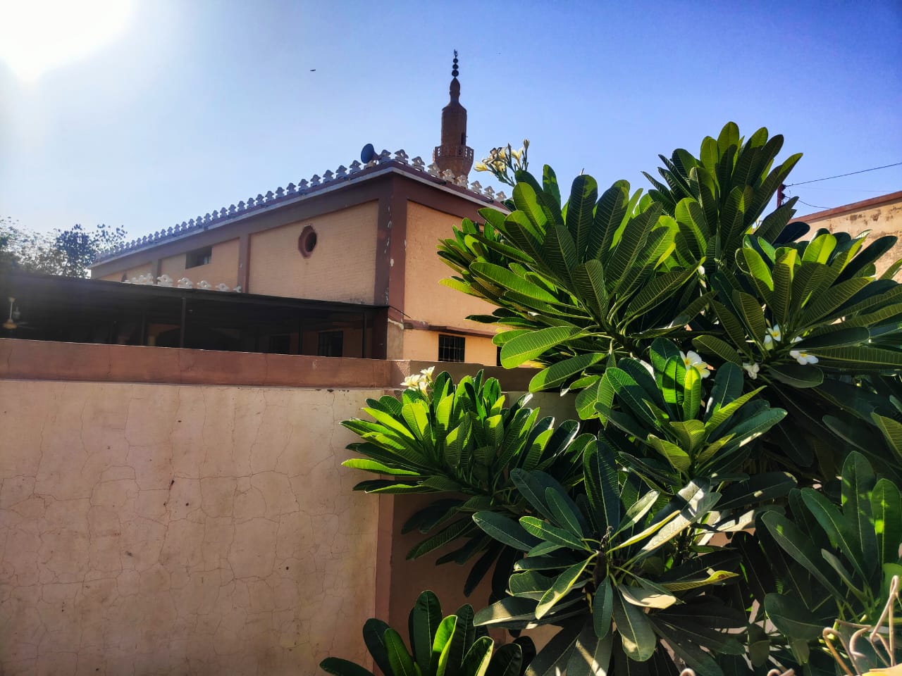 WhatsApp Image 2025-12-19 at 04.31.51